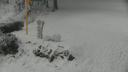 Běžecký lyžařský areál Nová Ves - horní část