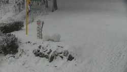 Běžecký lyžařský areál Nová Ves - horní část