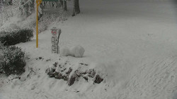 Běžecký lyžařský areál Nová Ves - horní část