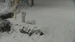 Běžecký lyžařský areál Nová Ves - horní část