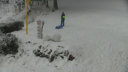 Běžecký lyžařský areál Nová Ves - horní část