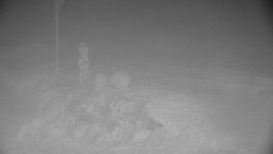 Běžecký lyžařský areál Nová Ves - horní část