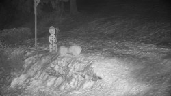 Běžecký lyžařský areál Nová Ves - horní část