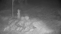 Běžecký lyžařský areál Nová Ves - horní část