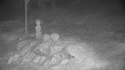 Běžecký lyžařský areál Nová Ves - horní část