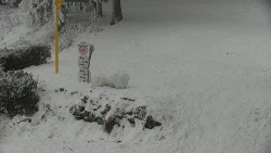 Běžecký lyžařský areál Nová Ves - horní část