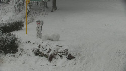 Běžecký lyžařský areál Nová Ves - horní část