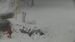 Běžecký lyžařský areál Nová Ves - horní část