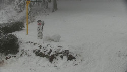 Běžecký lyžařský areál Nová Ves - horní část