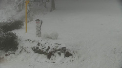 Běžecký lyžařský areál Nová Ves - horní část