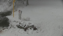 Běžecký lyžařský areál Nová Ves - horní část