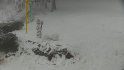 Běžecký lyžařský areál Nová Ves - horní část