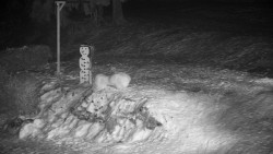 Běžecký lyžařský areál Nová Ves - horní část