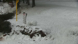 Běžecký lyžařský areál Nová Ves - horní část