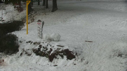 Běžecký lyžařský areál Nová Ves - horní část