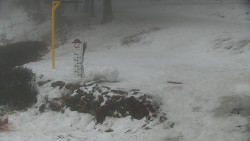 Běžecký lyžařský areál Nová Ves - horní část