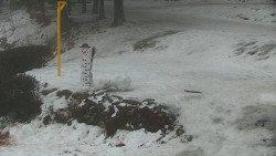 Běžecký lyžařský areál Nová Ves - horní část