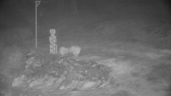 Běžecký lyžařský areál Nová Ves - horní část