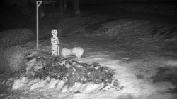 Běžecký lyžařský areál Nová Ves - horní část