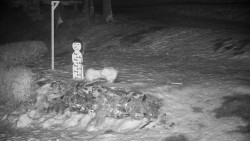 Běžecký lyžařský areál Nová Ves - horní část