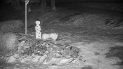 Běžecký lyžařský areál Nová Ves - horní část