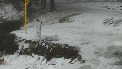 Běžecký lyžařský areál Nová Ves - horní část