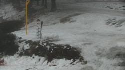 Běžecký lyžařský areál Nová Ves - horní část