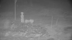 Běžecký lyžařský areál Nová Ves - horní část