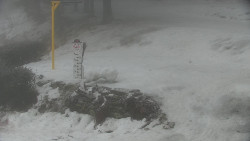 Běžecký lyžařský areál Nová Ves - horní část