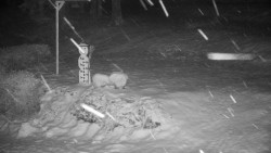 Běžecký lyžařský areál Nová Ves - horní část