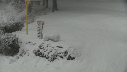 Běžecký lyžařský areál Nová Ves - horní část