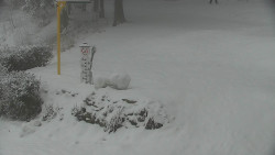 Běžecký lyžařský areál Nová Ves - horní část