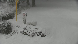 Běžecký lyžařský areál Nová Ves - horní část