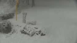 Běžecký lyžařský areál Nová Ves - horní část