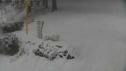 Běžecký lyžařský areál Nová Ves - horní část