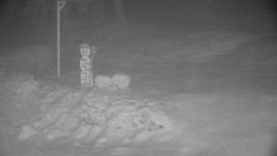 Běžecký lyžařský areál Nová Ves - horní část