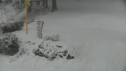 Běžecký lyžařský areál Nová Ves - horní část