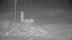 Běžecký lyžařský areál Nová Ves - horní část