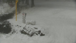 Běžecký lyžařský areál Nová Ves - horní část