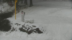 Běžecký lyžařský areál Nová Ves - horní část