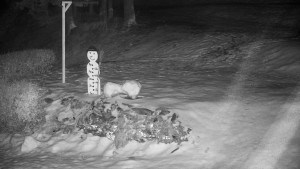 Chata Myslivna SKP Olomouc - Běžecký lyžařský areál Nová Ves - horní část - 13.2.2026 v 01:30 Chata Myslivna SKP Olomouc - Běžecký lyžařský areál Nová Ves - horní část - 13.2.2026 v 01:30