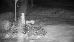 Chata Myslivna SKP Olomouc - Běžecký lyžařský areál Nová Ves - horní část - 13.2.2026 v 03:00 Chata Myslivna SKP Olomouc - Běžecký lyžařský areál Nová Ves - horní část - 13.2.2026 v 03:00