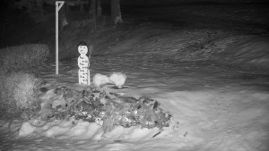 Chata Myslivna SKP Olomouc - Běžecký lyžařský areál Nová Ves - horní část - 13.2.2026 v 05:00 Chata Myslivna SKP Olomouc - Běžecký lyžařský areál Nová Ves - horní část - 13.2.2026 v 05:00