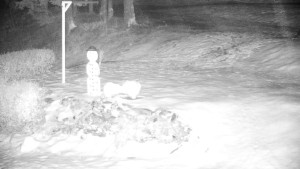 Chata Myslivna SKP Olomouc - Běžecký lyžařský areál Nová Ves - horní část - 13.2.2026 v 05:30 Chata Myslivna SKP Olomouc - Běžecký lyžařský areál Nová Ves - horní část - 13.2.2026 v 05:30