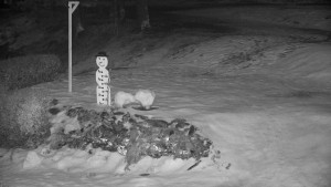 Chata Myslivna SKP Olomouc - Běžecký lyžařský areál Nová Ves - horní část - 13.2.2026 v 06:30 Chata Myslivna SKP Olomouc - Běžecký lyžařský areál Nová Ves - horní část - 13.2.2026 v 06:30