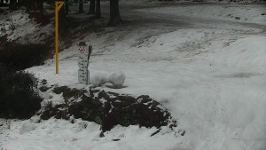 Chata Myslivna SKP Olomouc - Běžecký lyžařský areál Nová Ves - horní část - 13.2.2026 v 07:00 Chata Myslivna SKP Olomouc - Běžecký lyžařský areál Nová Ves - horní část - 13.2.2026 v 07:00