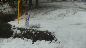 Chata Myslivna SKP Olomouc - Běžecký lyžařský areál Nová Ves - horní část - 13.2.2026 v 08:00 Chata Myslivna SKP Olomouc - Běžecký lyžařský areál Nová Ves - horní část - 13.2.2026 v 08:00