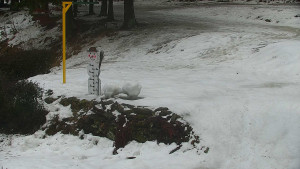 Chata Myslivna SKP Olomouc - Běžecký lyžařský areál Nová Ves - horní část - 13.2.2026 v 08:30 Chata Myslivna SKP Olomouc - Běžecký lyžařský areál Nová Ves - horní část - 13.2.2026 v 08:30