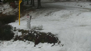 Chata Myslivna SKP Olomouc - Běžecký lyžařský areál Nová Ves - horní část - 13.2.2026 v 09:00 Chata Myslivna SKP Olomouc - Běžecký lyžařský areál Nová Ves - horní část - 13.2.2026 v 09:00
