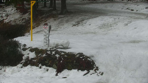 Chata Myslivna SKP Olomouc - Běžecký lyžařský areál Nová Ves - horní část - 13.2.2026 v 10:00 Chata Myslivna SKP Olomouc - Běžecký lyžařský areál Nová Ves - horní část - 13.2.2026 v 10:00